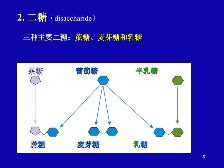 3.2碳水化合物_第5页