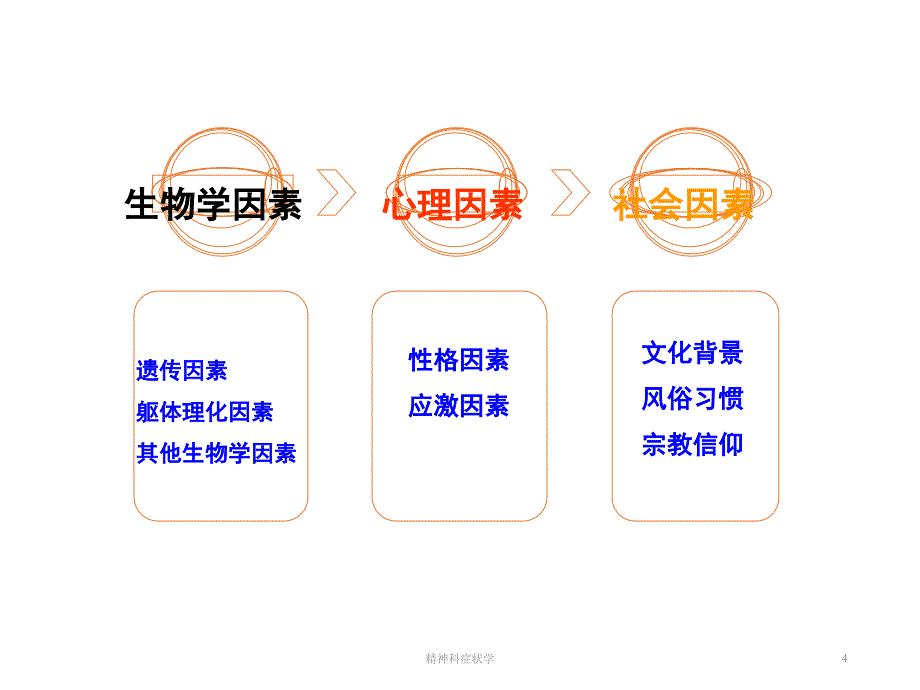 精神障碍的病因和症状学_第4页