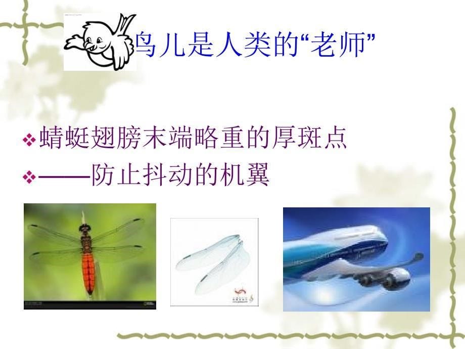 《人类的老师》PPT课件.ppt_第5页