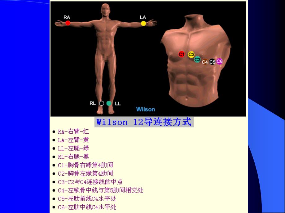 心电图幻灯实习讲课课件_第2页