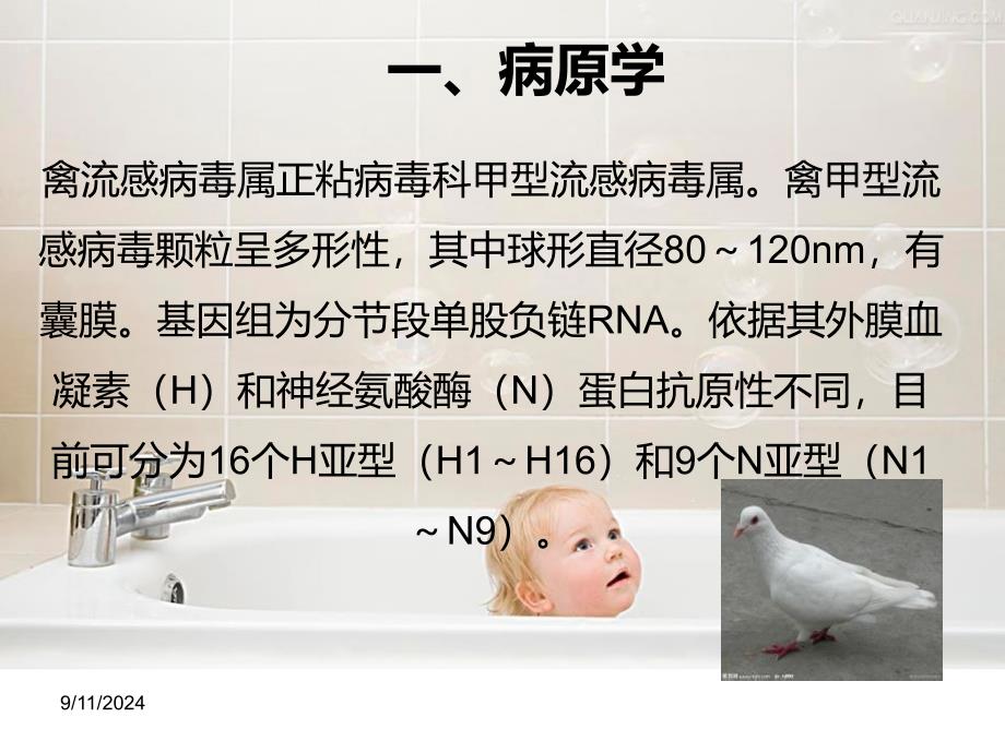 人感染H7N9禽流感诊疗方案本.ppt_第3页