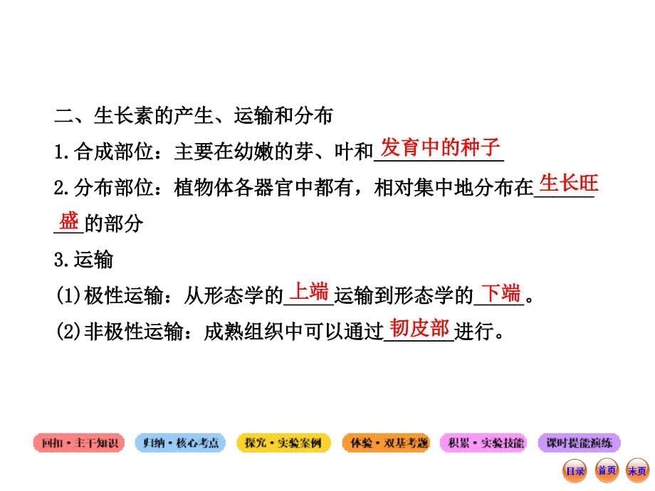 高考一轮生物复习植物激素调节人教课件_第5页