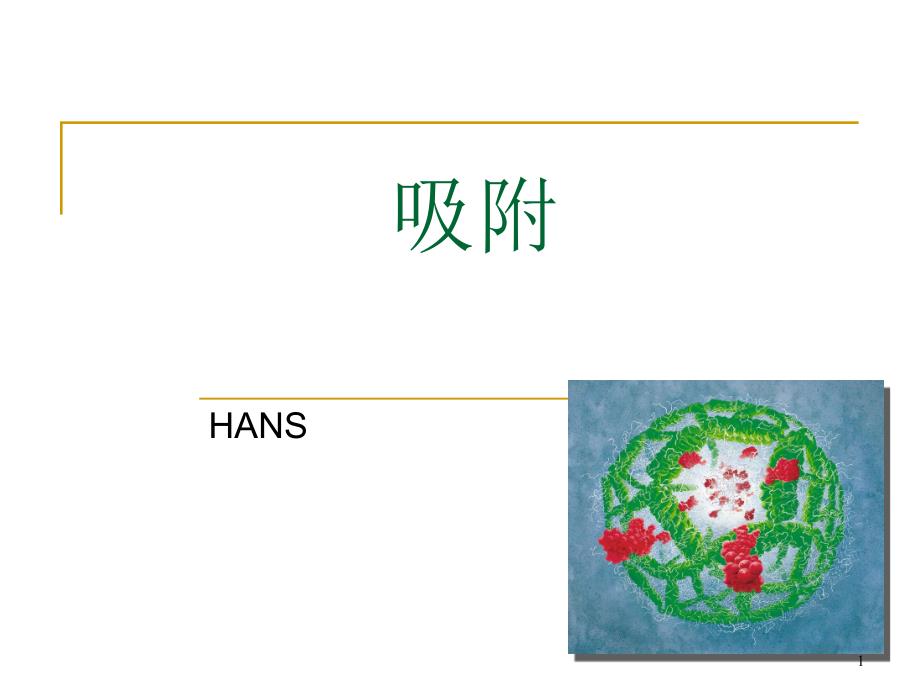 吸附原理及应用ppt课件_第1页