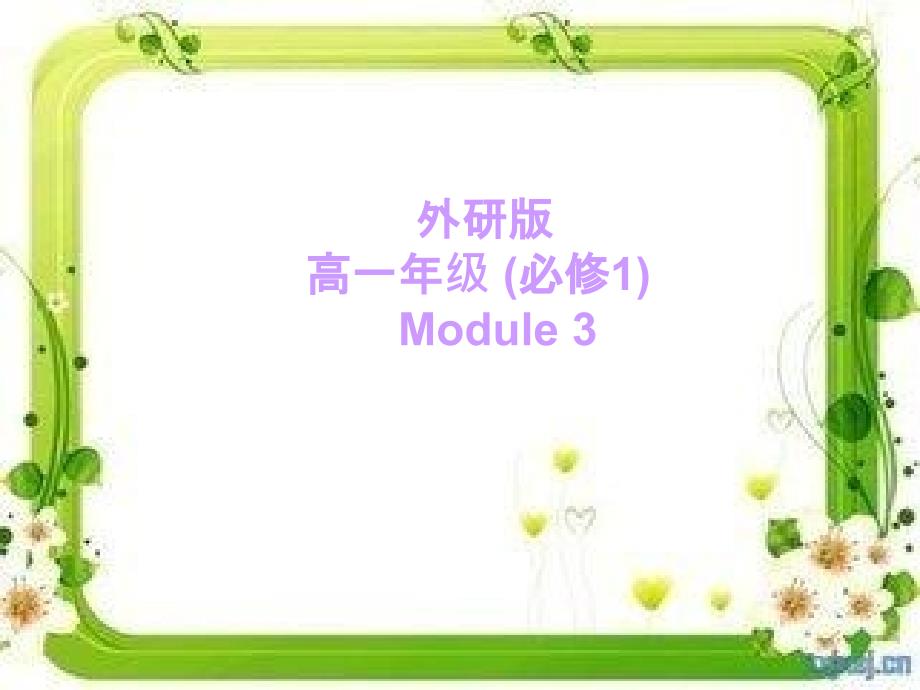 外研版高一英语必修一第三单元Module3MyFirstRideonaTrain_第1页