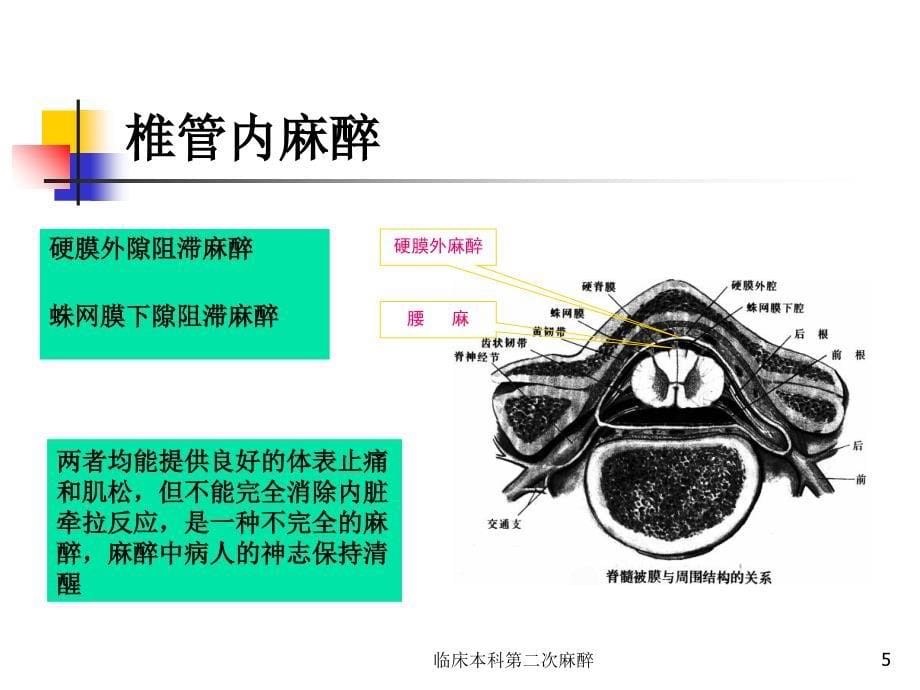 临床本科第二次麻醉课件_第5页