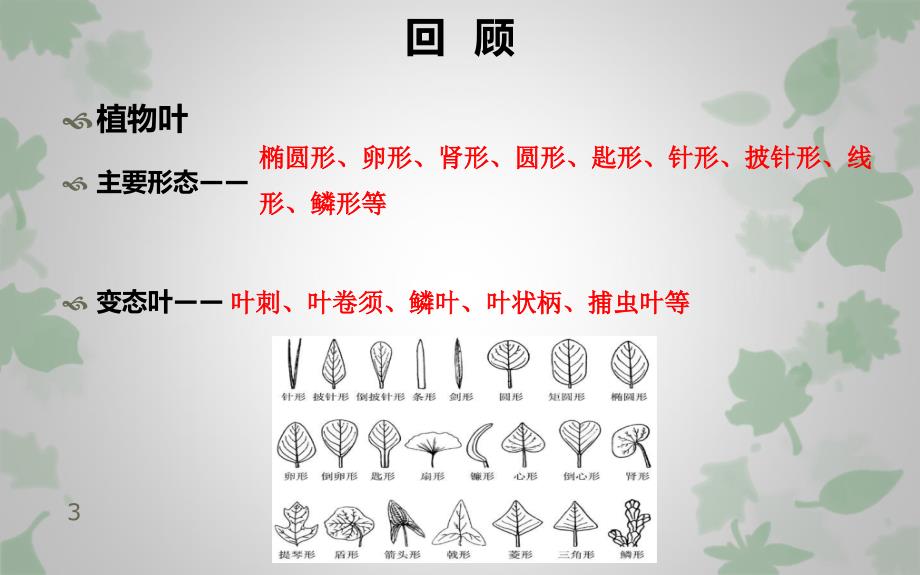 观赏植物学植物学形态学基础知识第三节植物花ppt课件_第3页