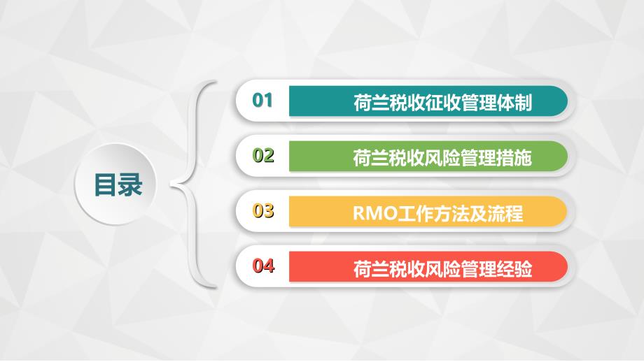 荷兰税收风险管理教材_第2页