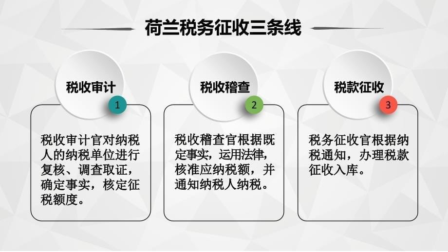 荷兰税收风险管理教材_第5页