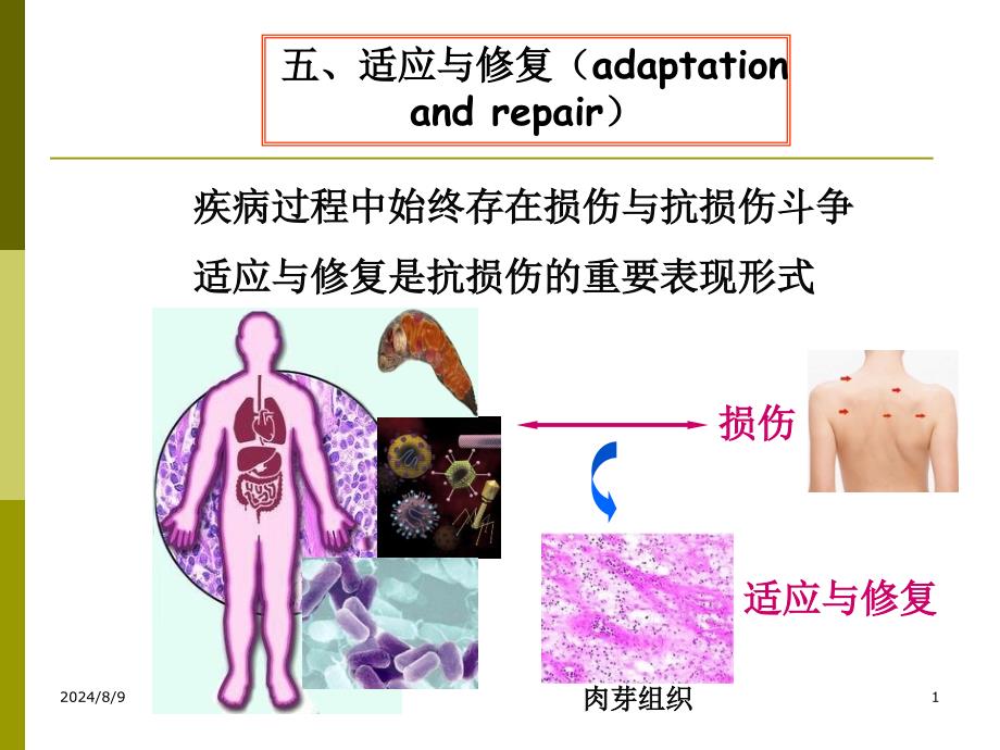 最新：病理学(四)文档资料_第1页