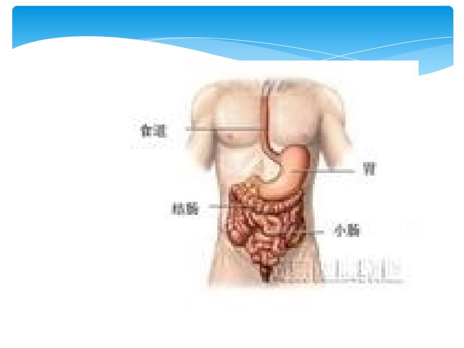 排便异常病因及治疗护理ppt课件_第4页