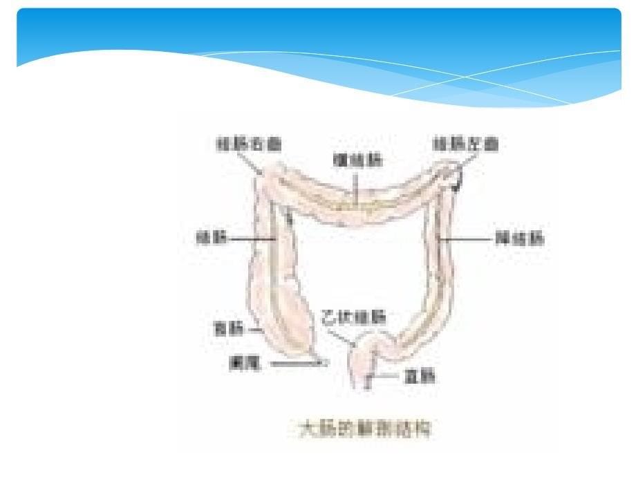 排便异常病因及治疗护理ppt课件_第5页