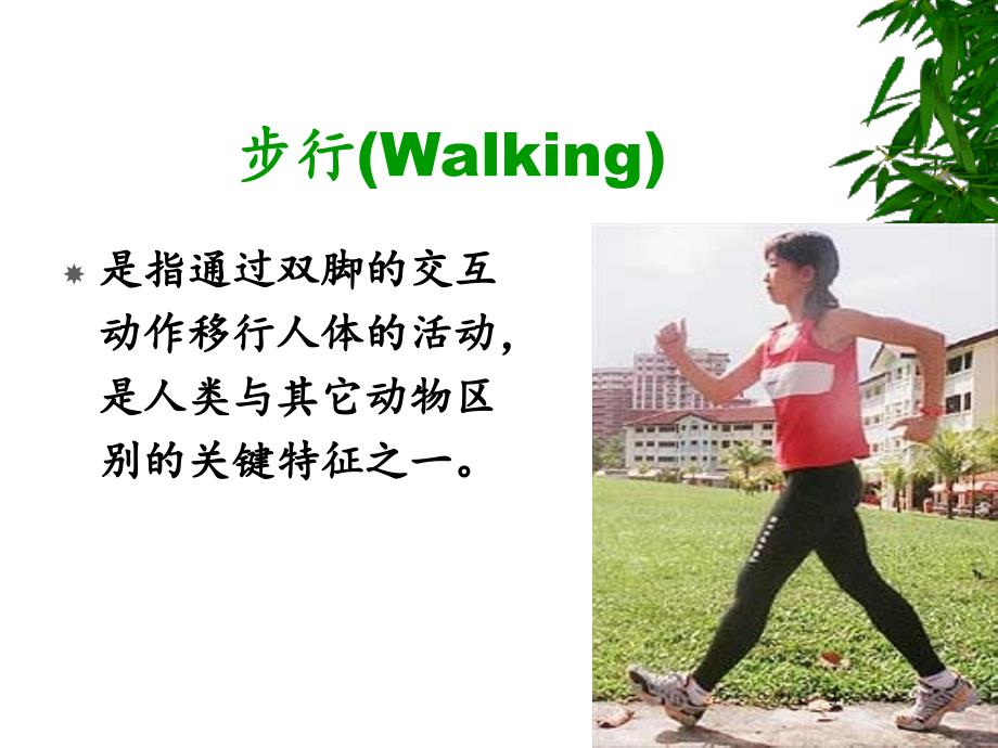 步态的分析.PPT_第3页