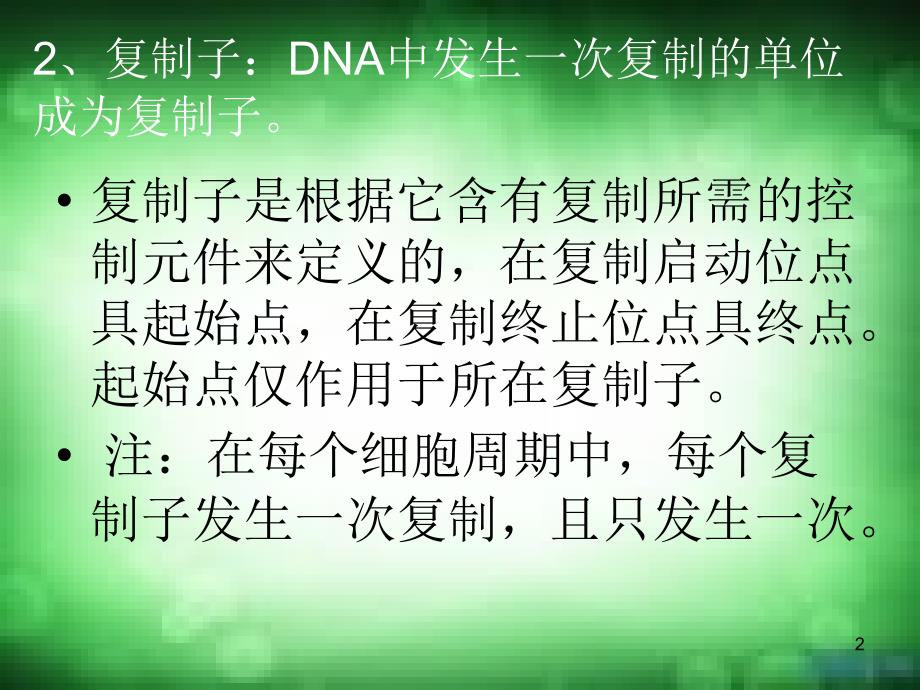 DNA复制的起点和方向PPT优秀课件_第2页