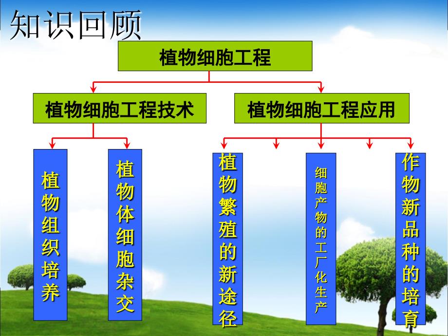 2.2.1动物细胞培养和核移植技术_第1页