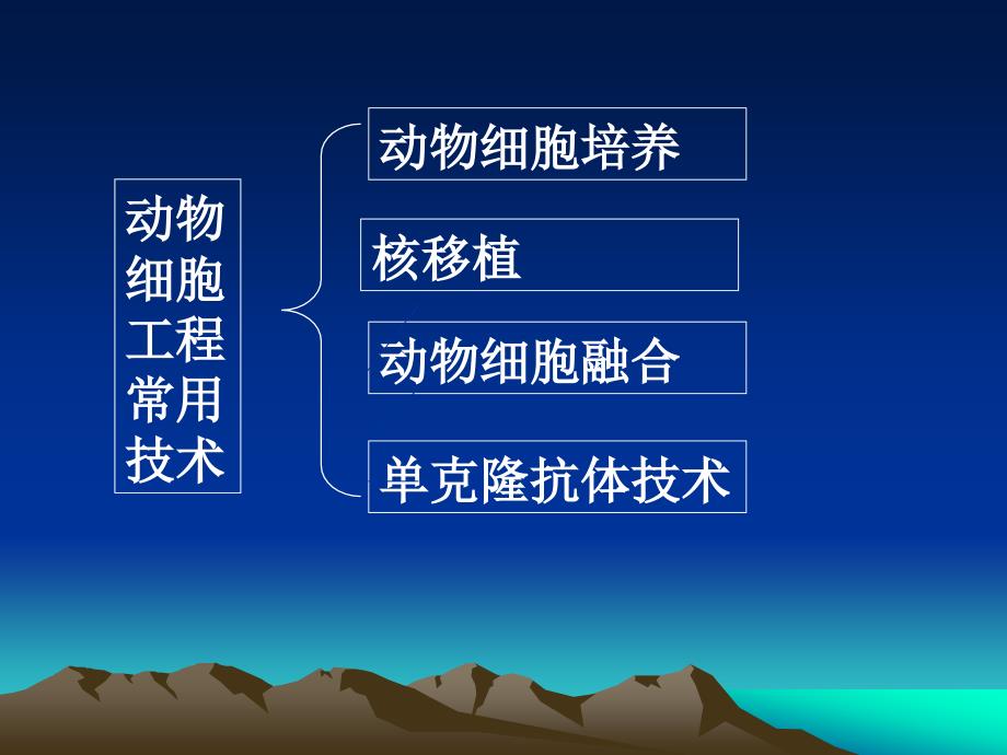 2.2.1动物细胞培养和核移植技术_第3页