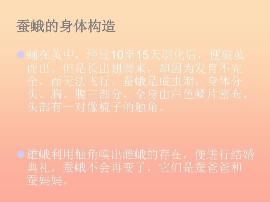 三年级科学下册动物的生命周期4蛹变成了什么课件1教科版_第5页