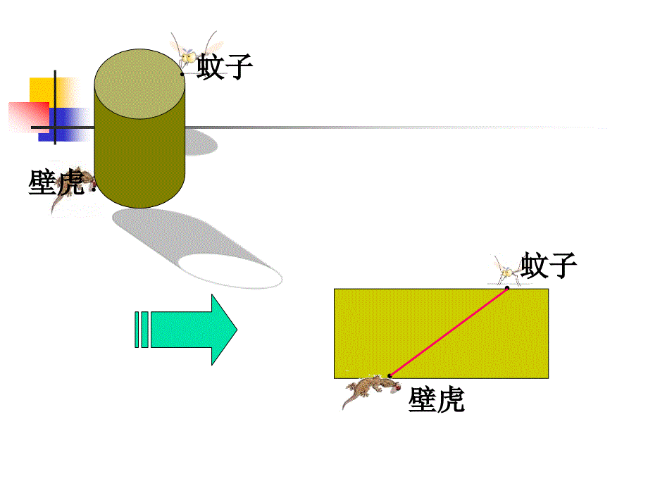 立体图形的表面展开图_第4页