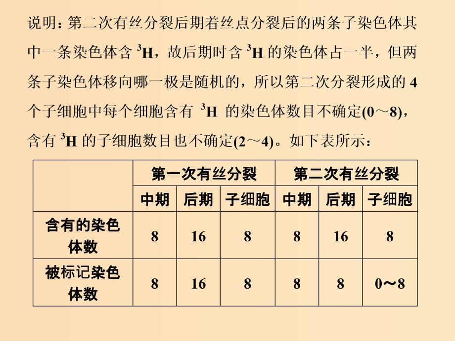 2019版高考生物一轮复习 第六单元 遗传的分子基础 微专题六 图解法分析细胞分裂过程中染色体的标记情况课件 苏教版.ppt_第4页