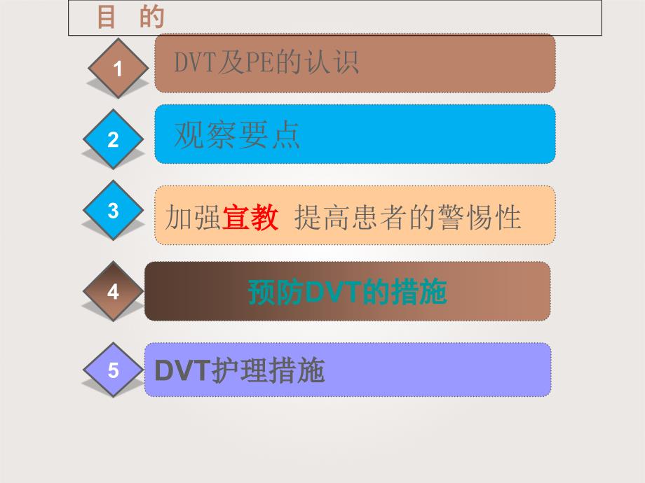 卧床患者DVT的预防与护理_第2页