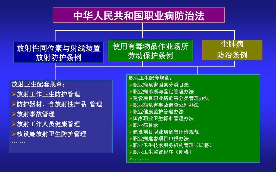 医学专题：新修订职业病防治法_第2页