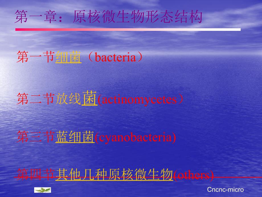 原核微生物的形态结构(1)课件_第1页