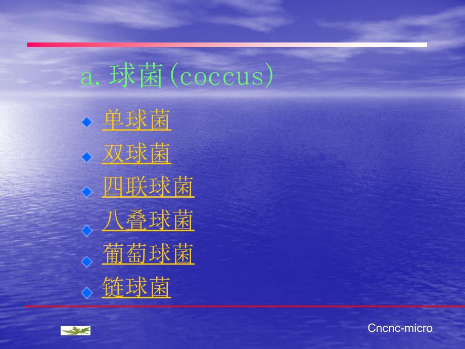 原核微生物的形态结构(1)课件_第4页