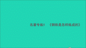 安徽专版八年级语文下册第五单元名著专练5钢铁是怎样炼成的作业课件新人教版