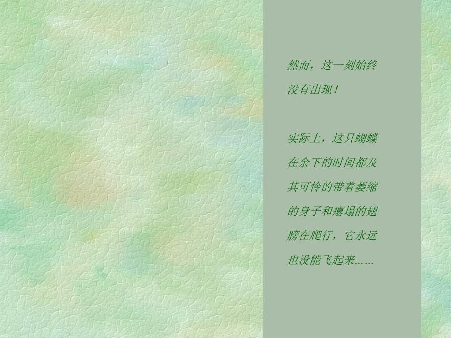 蝴蝶的故事(寓言故事).ppt_第5页