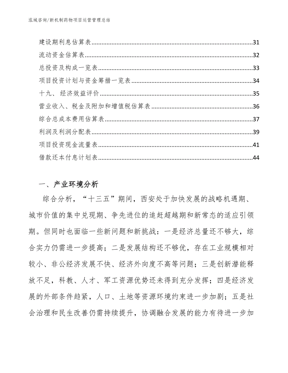 新机制药物项目运营管理总结_第2页