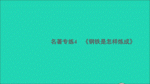 安徽专版八年级语文下册第四单元名著专练4钢铁是怎样炼成的作业课件新人教版