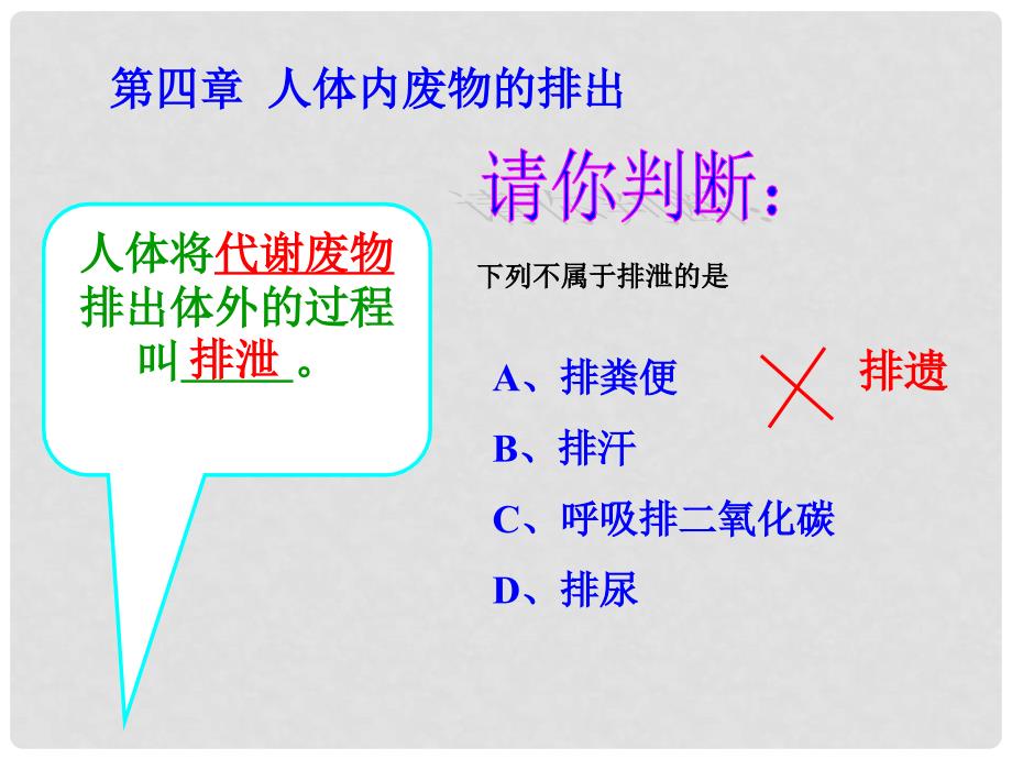 七年级生物下册 第一节 尿的形成与排出课件 济南版_第2页