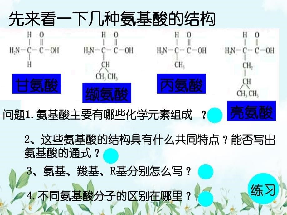 生命活动主要承担者的蛋白质_第5页