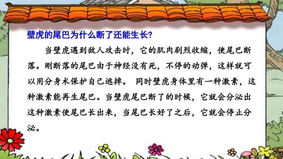 部编版一年级下册语文 小壁虎借尾巴 第一课时 公开课课件_第5页