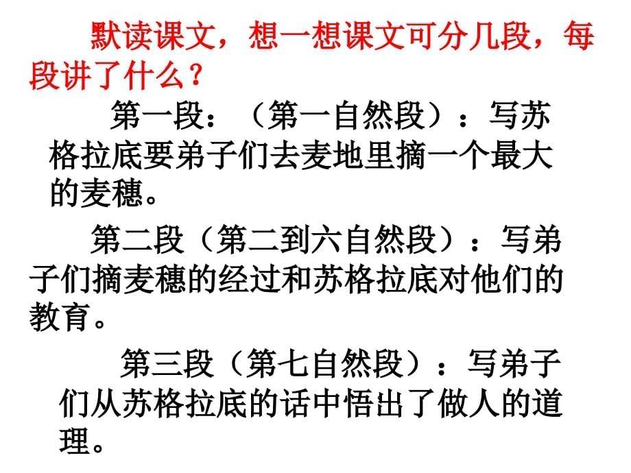 最大的麦穗PPT课件90（曾令兰）_第5页