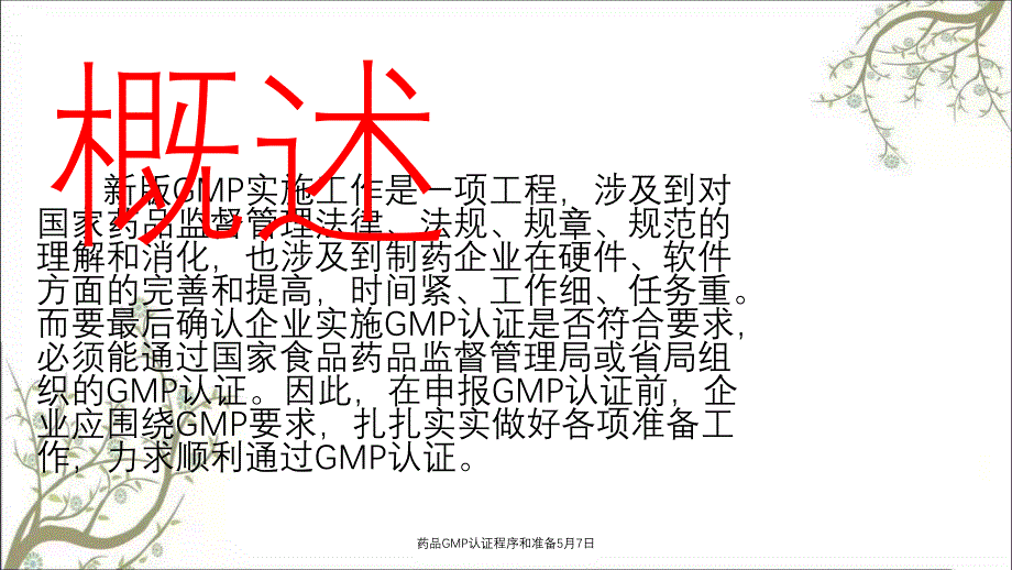 药品GMP认证程序和准备5月7日_第2页