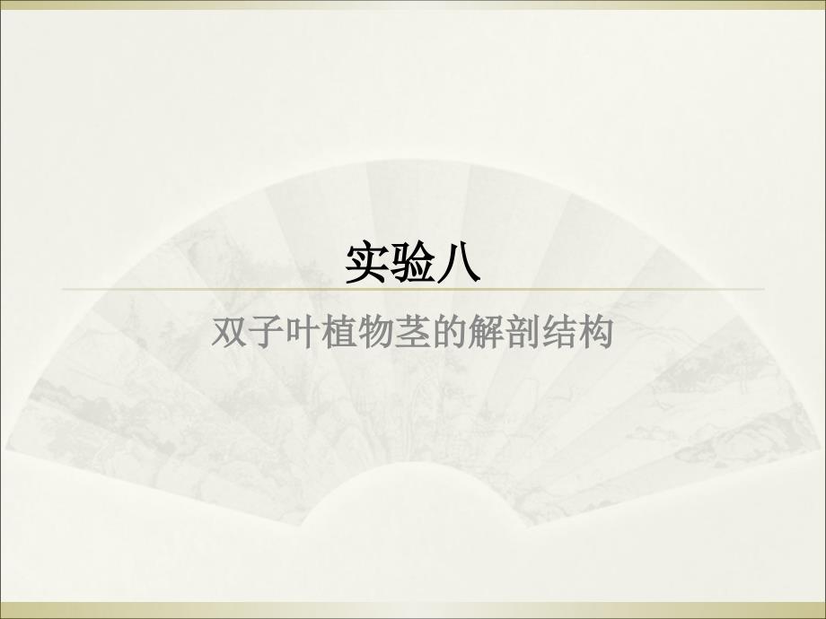 双子叶植物茎的解剖结构_第1页