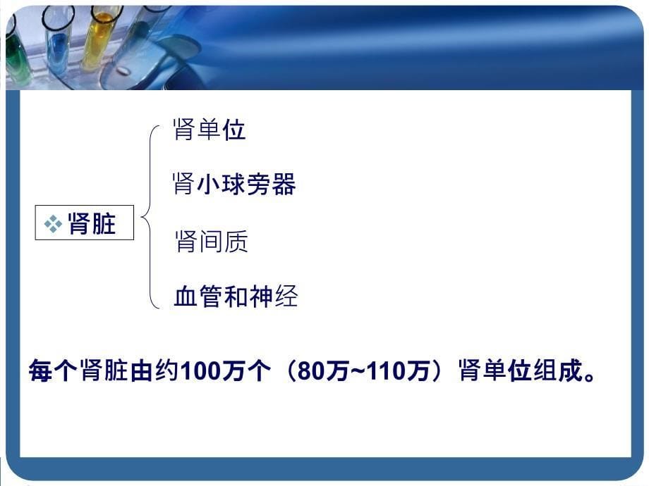 内科学泌尿系统疾病总论_第5页