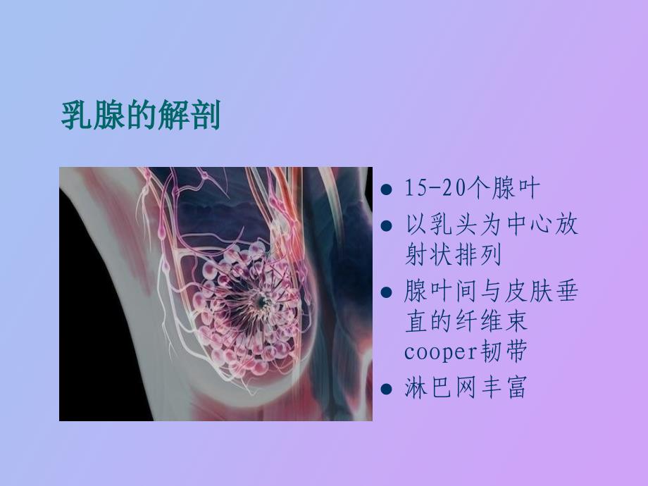 乳腺疾病病人的护理_第2页