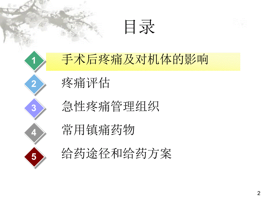 优质课件术后镇痛_第2页