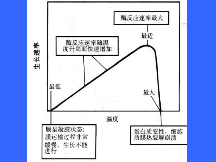 五章环境因子对微生物生长和代谢的影响_第4页