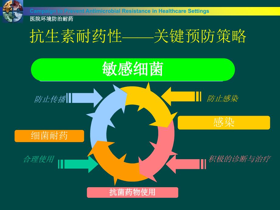 抗生素优化管理-4_第2页