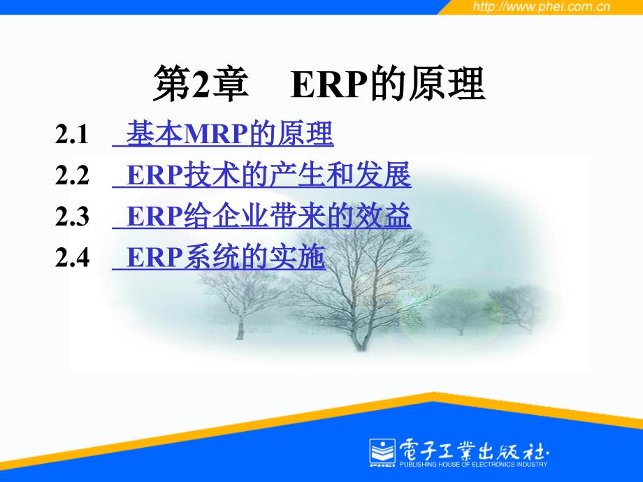 第2章企业资源计划ERP_第1页