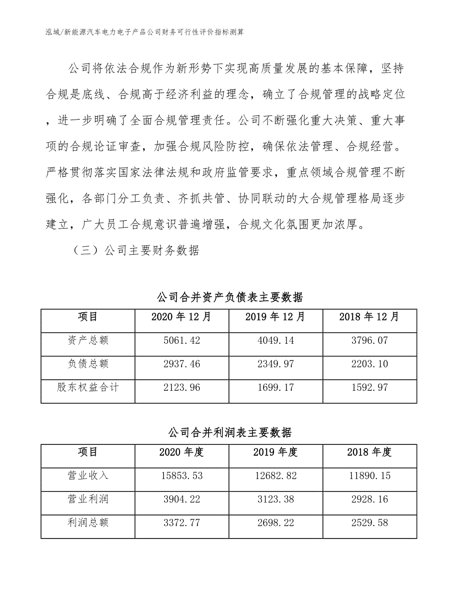 新能源汽车电力电子产品公司财务可行性评价指标测算【范文】_第4页