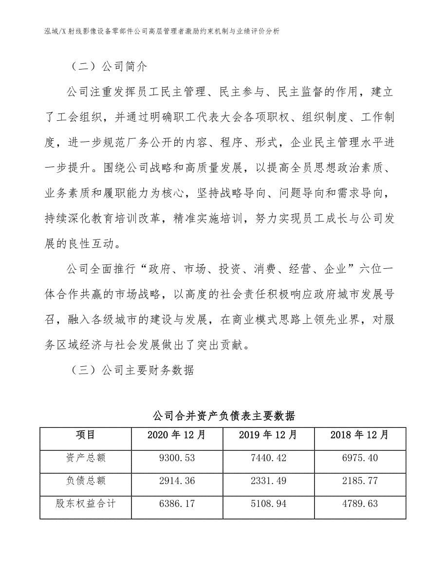 X射线影像设备零部件公司高层管理者激励约束机制与业绩评价分析（参考）_第5页