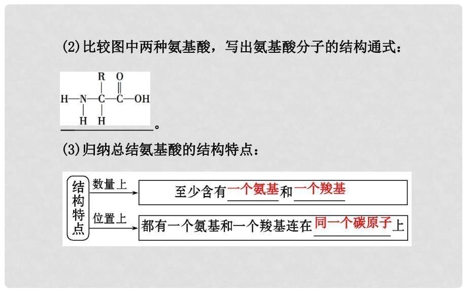 高中生物 2.2 生命活动的主要承担者—蛋白质课件 新人教版必修1_第5页