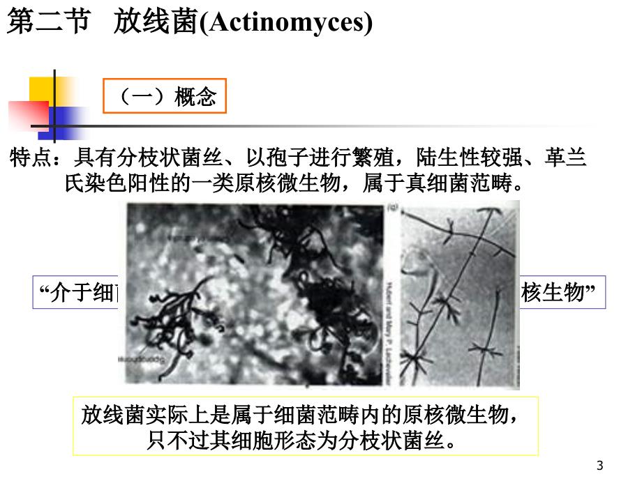 环境工程微生物学第二章原核微生物3_第3页