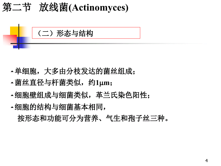 环境工程微生物学第二章原核微生物3_第4页