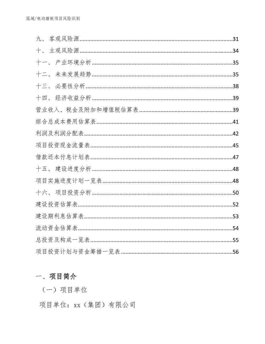 电动踏板项目风险识别（参考）_第2页