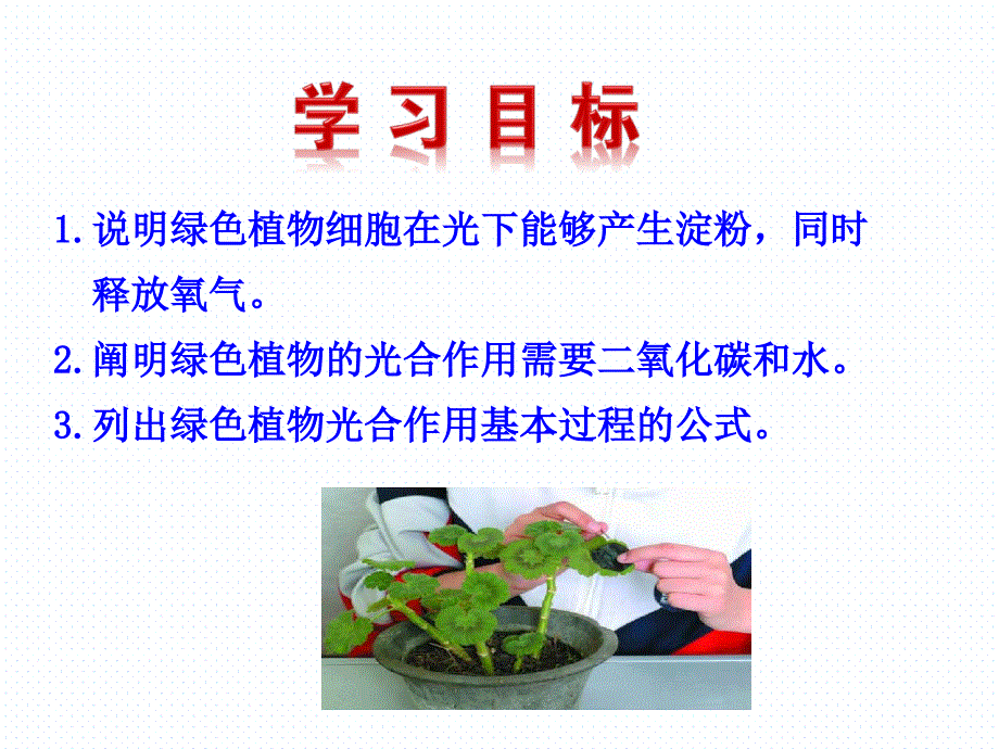 第三节植物光合作用的实质（详版课资）_第3页