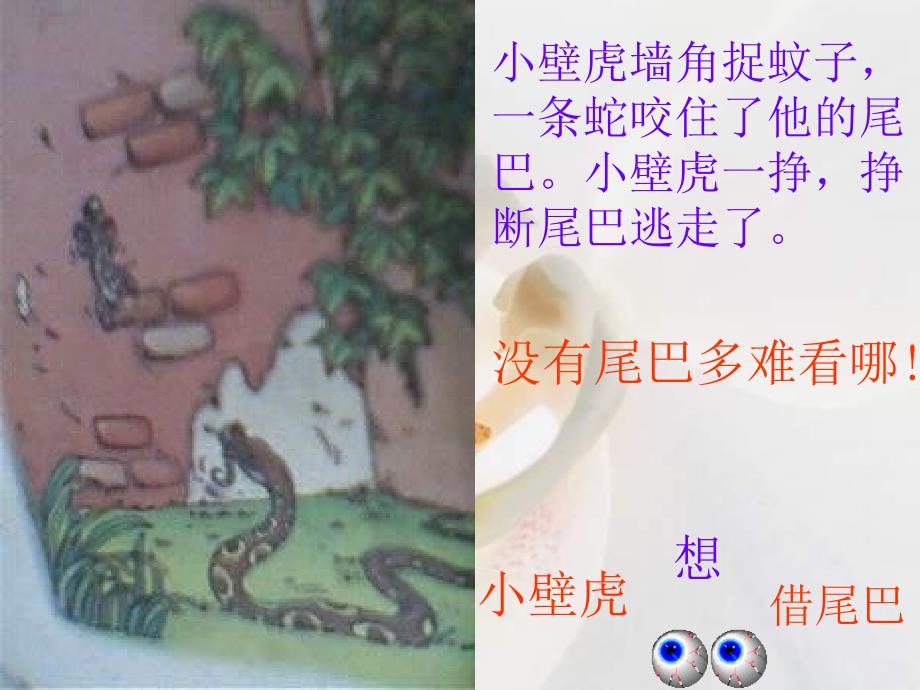 小壁虎借尾巴课件_第2页